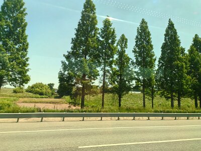 2Jeonju (45)