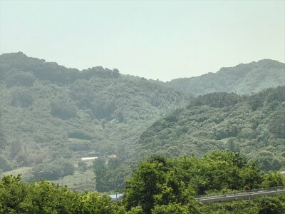 2Jeonju (5)
