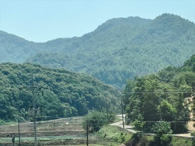 2Jeonju (6)
