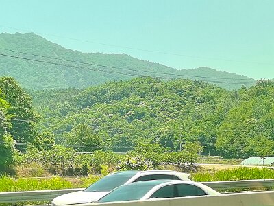2Jeonju (62)