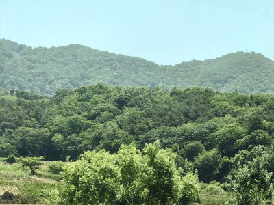 2Jeonju (66)