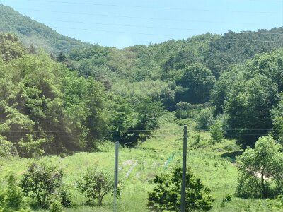 2Jeonju (67)