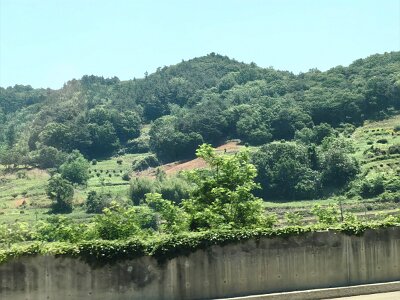 2Jeonju (68)