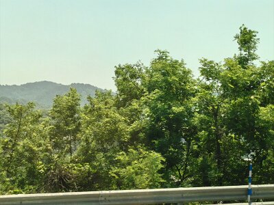 2Jeonju (9)