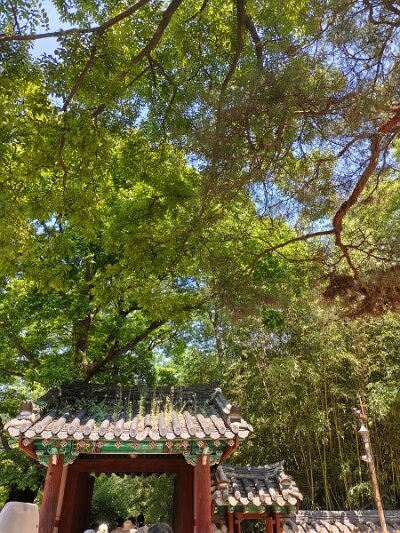 Jeonju053026 (296)