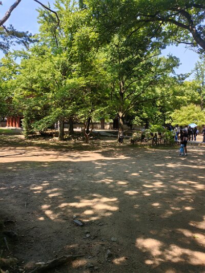 Jeonju053026 (297)