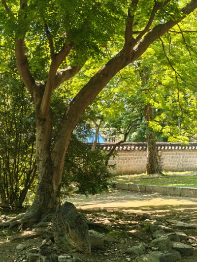 Jeonju053026 (301)