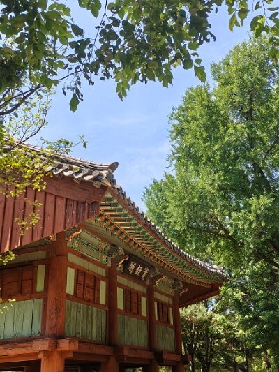 Jeonju053026 (302)