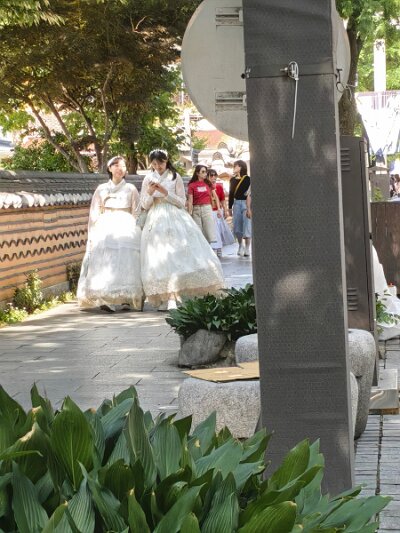 Jeonju053026 (446)