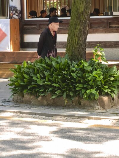 Jeonju053026 (459)