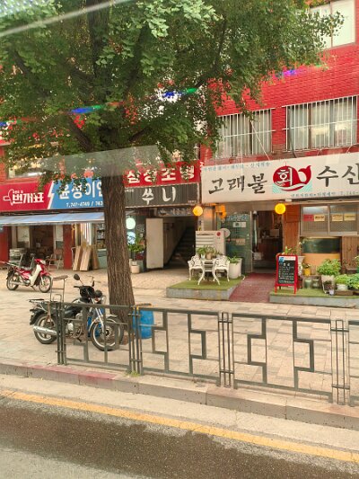 Jogye (131)