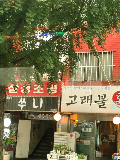 Jogye (132)