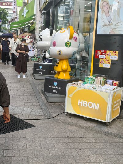 Myeondong (101)