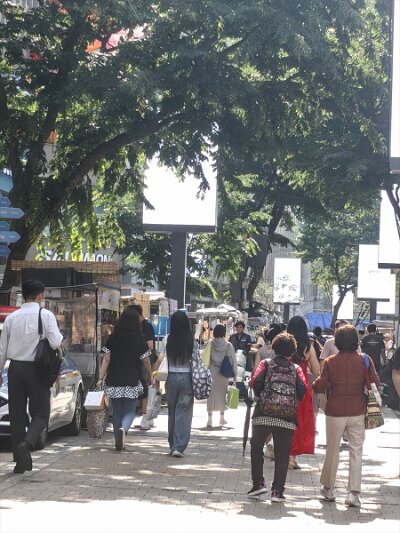 Myeondong (85)