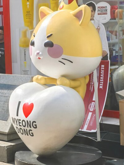 Myeondong (87)