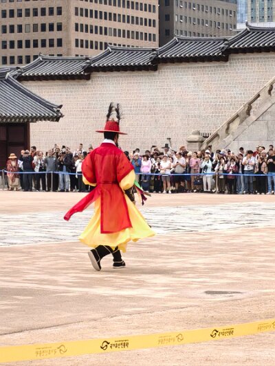Royal Guard Changing Ceremony (113)
