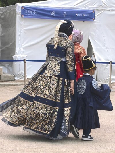 Royal Guard Changing Ceremony (317)
