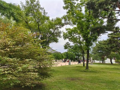 Royal Guard Changing Ceremony (360)