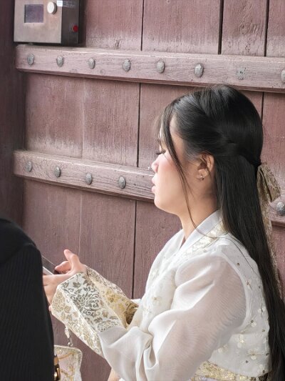 Royal Guard Changing Ceremony (419)