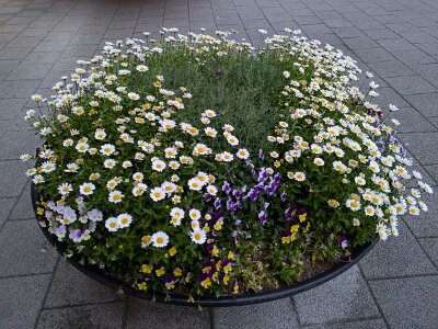 PXL_20260526_103948335