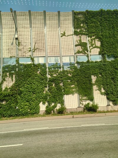 Seoul27 (139)