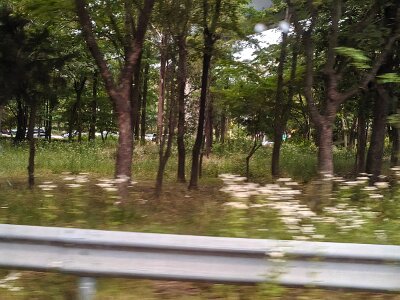 Seoul27 (16)