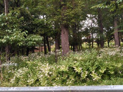 Seoul27 (17)