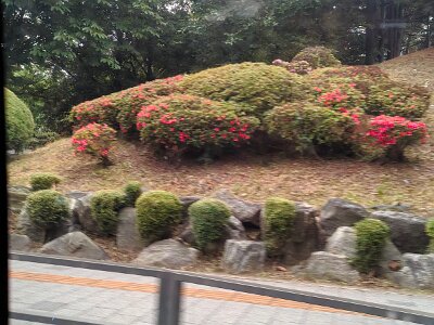 Seoul27 (19)