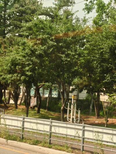 Seoul27 (191)