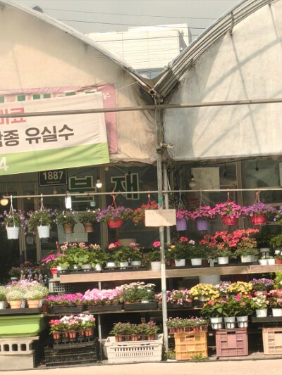 Seoul27 (199)