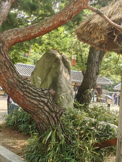 Seoul27 (226)
