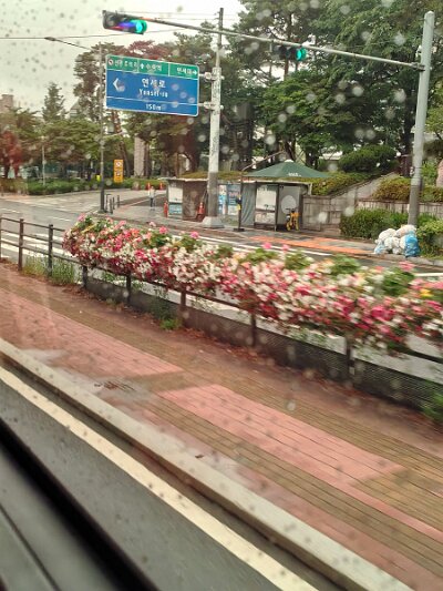 Seoul27 (5)