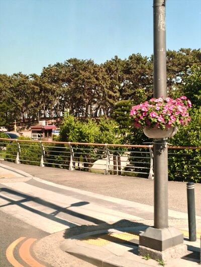 SongdoBeach (154)