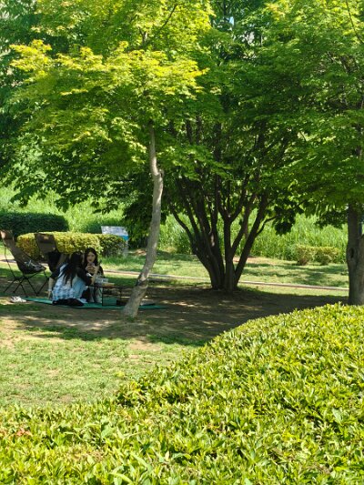 UNESCO (103)