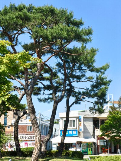UNESCO (104)
