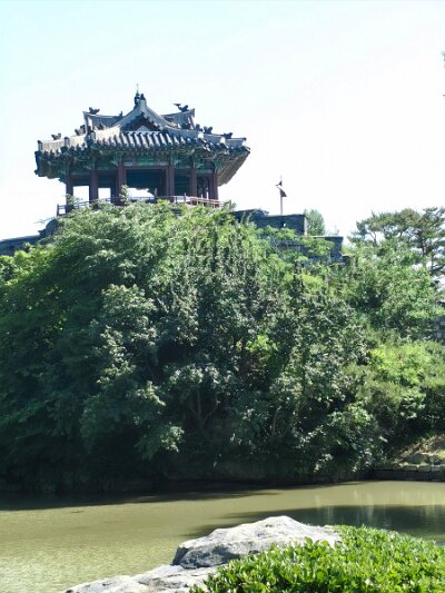 UNESCO (124)