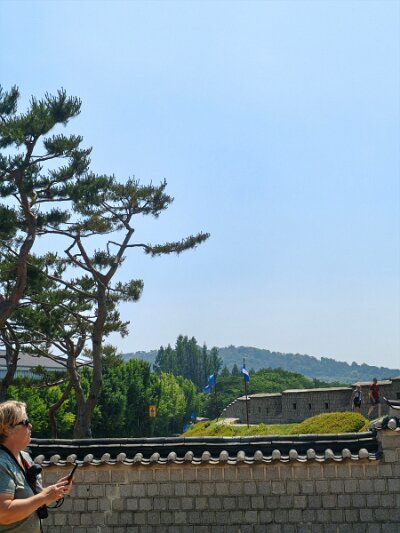 UNESCO (41)