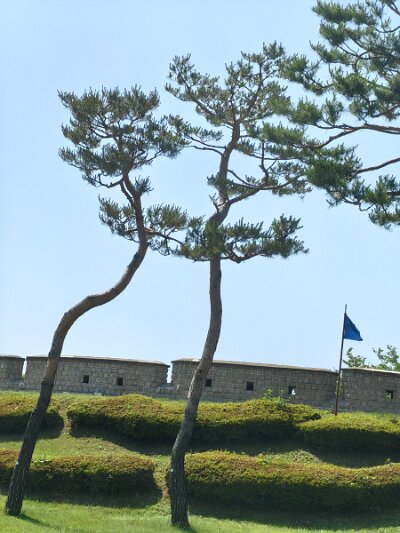 UNESCO (54)