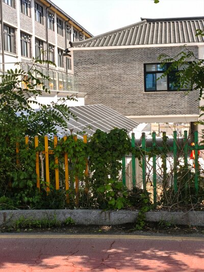 UNESCO (60)