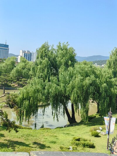 UNESCO (80)