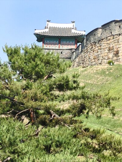 UNESCO (81)