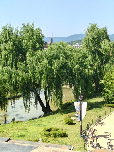 UNESCO (88)