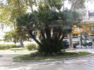 Lisbon1 (9)