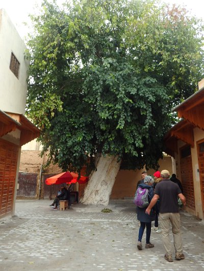 Meknes (212)