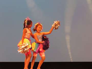 Cute Shining Diamonds  (25)