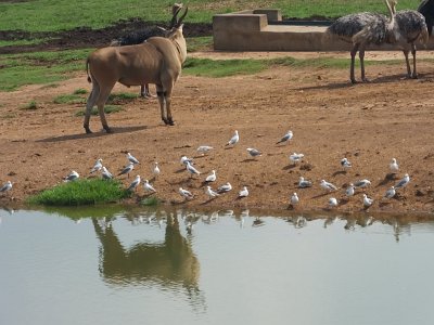March04SAa (786)