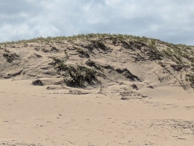 ToDurban (166)