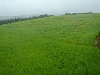 ToDurban (29)