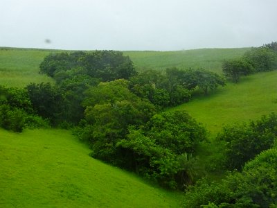 ToDurban (36)