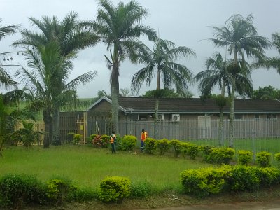ToDurban (4)